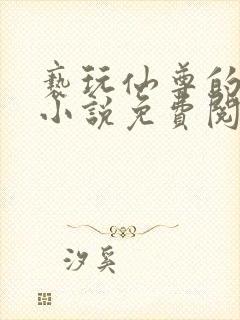 亵玩仙尊的道侣小说免费阅读