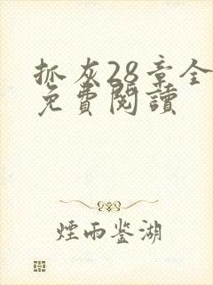 抓灰28章全部免费阅读