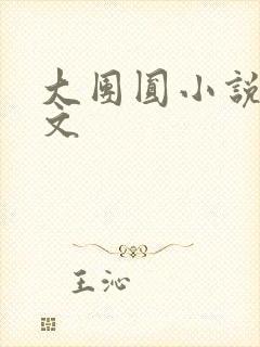 大团圆小说集全文