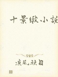 十景缎小说