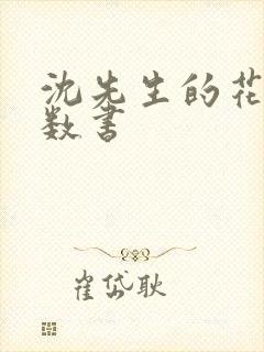 沈先生的花式调数书