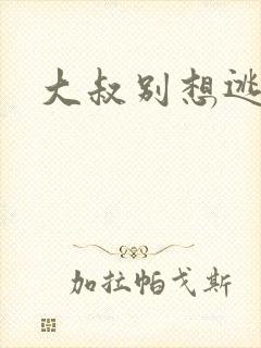 大叔别想逃