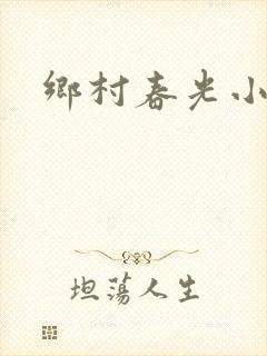 乡村春光小说