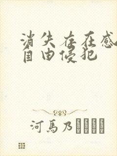 消失存在感消失自由侵犯