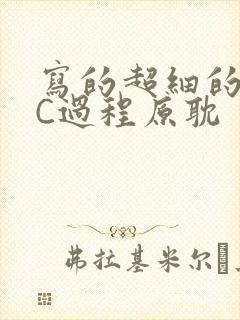 写的超细的多肉C过程原耽