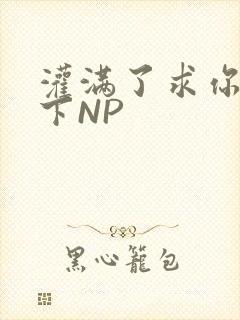灌满了求你们停下NP