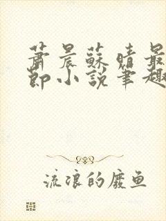 萧晨苏晴最新章节小说笔趣阁