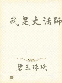 我是大法师封面