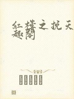 红楼之挽天倾笔趣阁