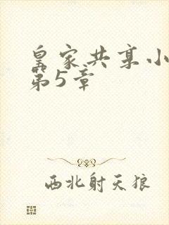 皇家共享小公主第5章