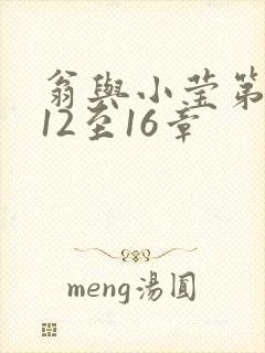 翁与小莹第十部12至16章