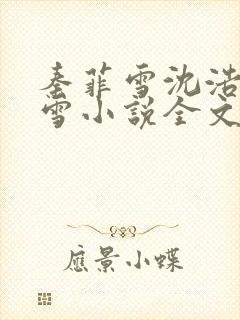 秦菲雪沈浩秦菲雪小说全文免费阅读求书