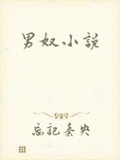 男奴小说