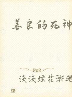 善良的死神小说