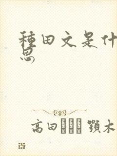 种田文是什么意思