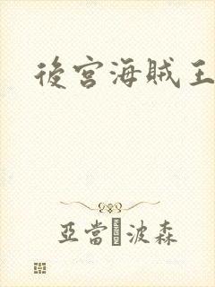 后宫海贼王