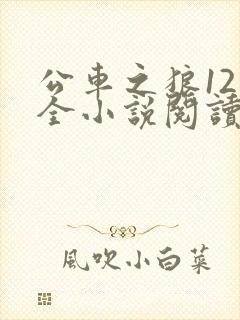 公车之狼12集全小说阅读