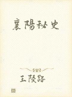 襄阳秘史