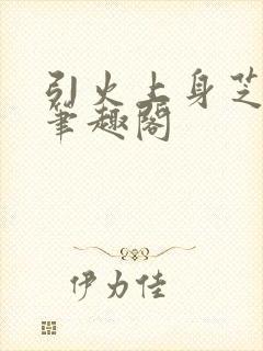 引火上身芝麻糖笔趣阁