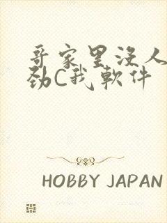 哥家里没人使点劲C我软件