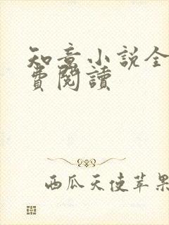 知意小说全文免费阅读封面