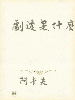 《剧透是什么意思》小说封面