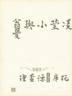 翁与小莹凌晨欢爱