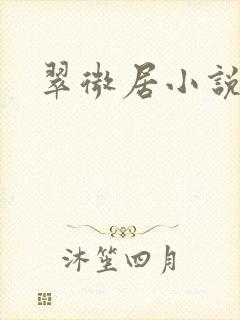 翠微居小说