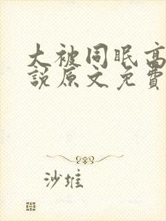 大被同眠高粱小说原文免费阅读