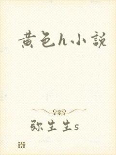 黄色h小说