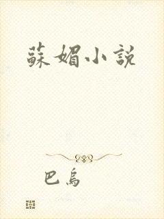 苏媚小说