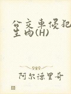 公交车侵犯小男生肉(H)