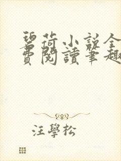 碧荷小说全文免费阅读笔趣阁