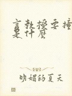 言教授要撞坏了是什么