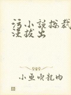 污小说总裁整夜没拔出