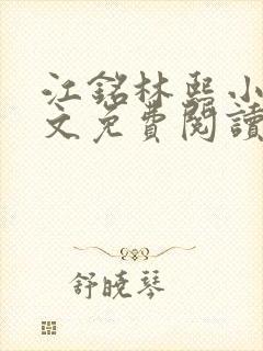 江铭林熙小说全文免费阅读