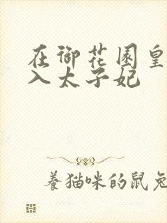 在御花园皇上进入太子妃封面