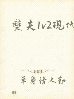 双夫1v2现代