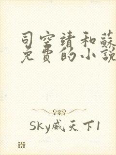 司空靖和苏月汐免费的小说笔趣阁