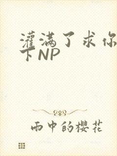 灌满了求你们停下NP