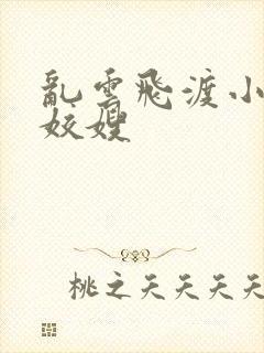 乱云飞渡小说之姣嫂