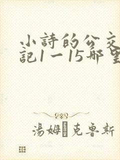 小诗的公交车日记1一15哪里能看