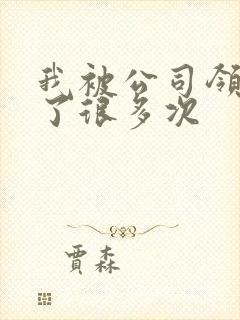 我被公司领导C了很多次