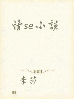 情se小说封面
