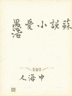 愚爱小说苏倩孙浩