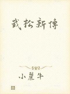 武松新传