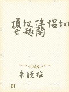 顶级伴侣txt笔趣阁