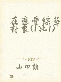 在恋爱综艺里搞对象(1比1)封面