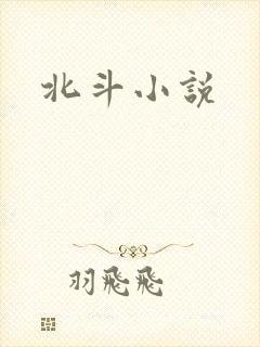 北斗小说