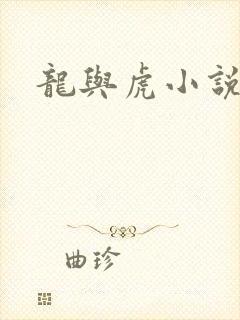 龙与虎小说